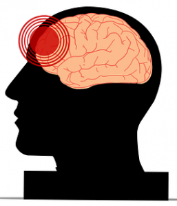 lóbulo frontal del cerebro