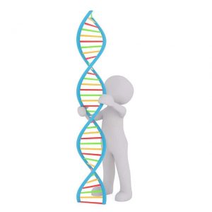 genes